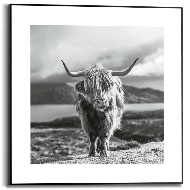 Painting Slim Frame Highlander 50x50