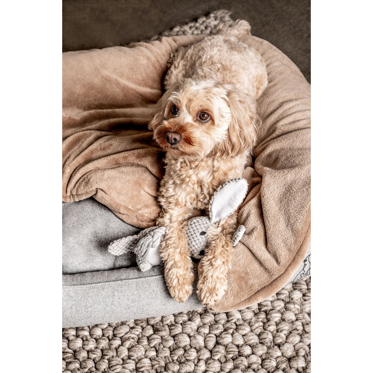 Hundedecke Emma Beige (végétalien)