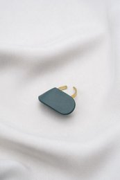 anillo de hericon