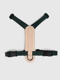 ARCH HARNESS NATURAL/PINE