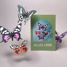 SCHMETTERLINGE ""Elegant""