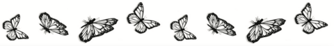 Temporary tattoo Sioou Butterfly bracelet x5