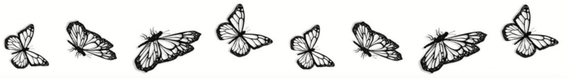 Tymczasowy tatuaż bransoletka Sioou Butterfly x5