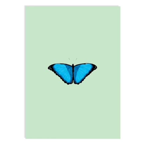 Postkarte Reflection (Schmetterling)