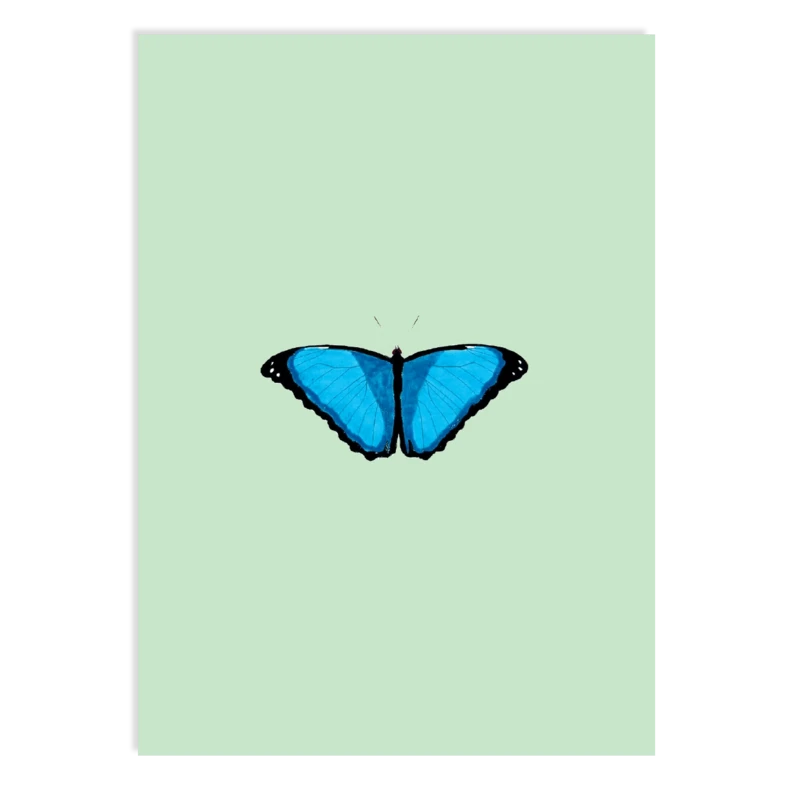 Postcard Reflection (Butterfly)