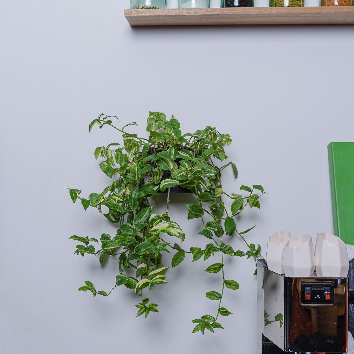 Befold shelf round, 16cm, White | Minimalist, floating, invisible, steel wall/room shelves for plant, ornament or book