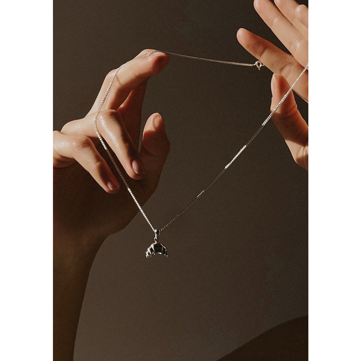 Croissant Necklace Silver