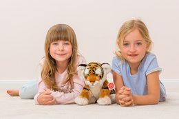 Tijger bruin 32 cm - knuffel - knuffel