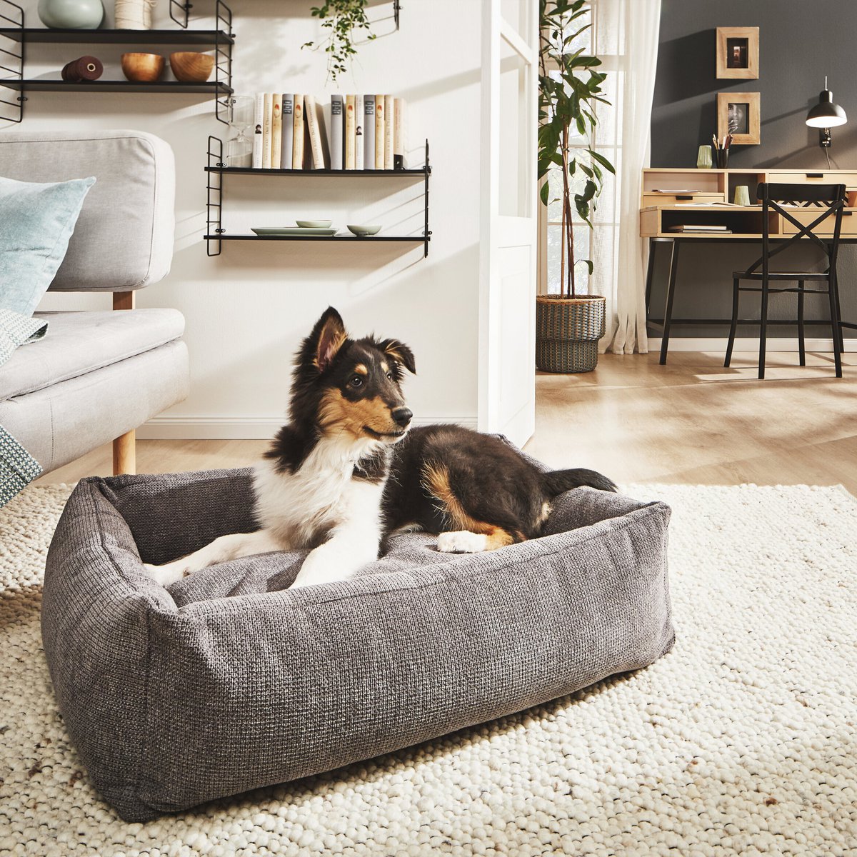 TUDOR ORTHO | Premium Orthopedic Dog Bed