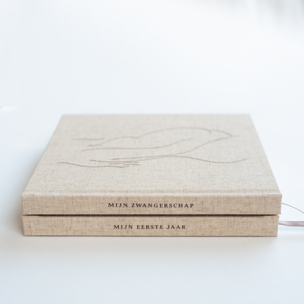 Zwangerschapsinvulboek