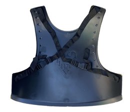 Piastra di forma di plastica medievale - ST970