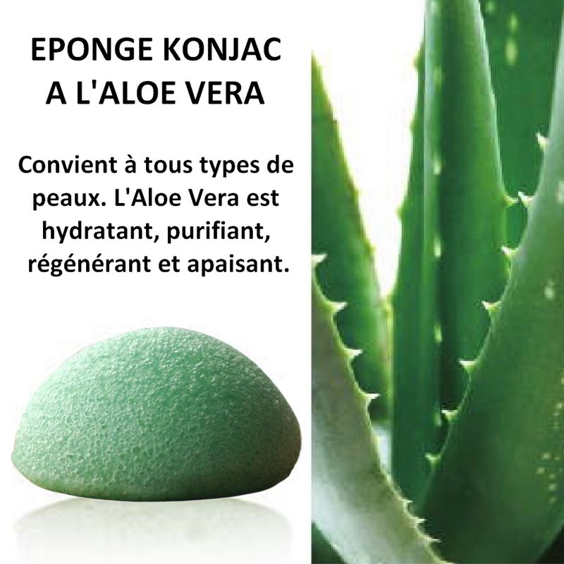 Natural Konjac Sponge for the Aloe Vera face