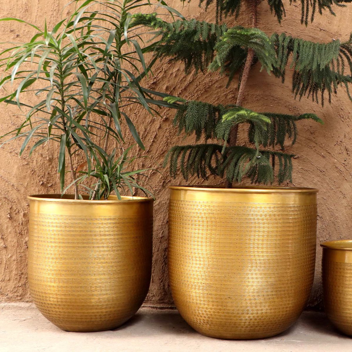 Oriental flower pot Barcelona