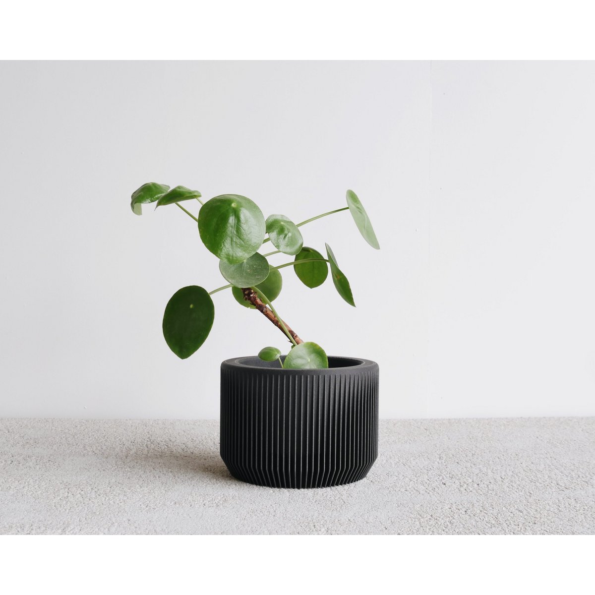 Black M - 8,5 cm inner diameter
