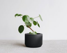 PRAHA Indoor Planter