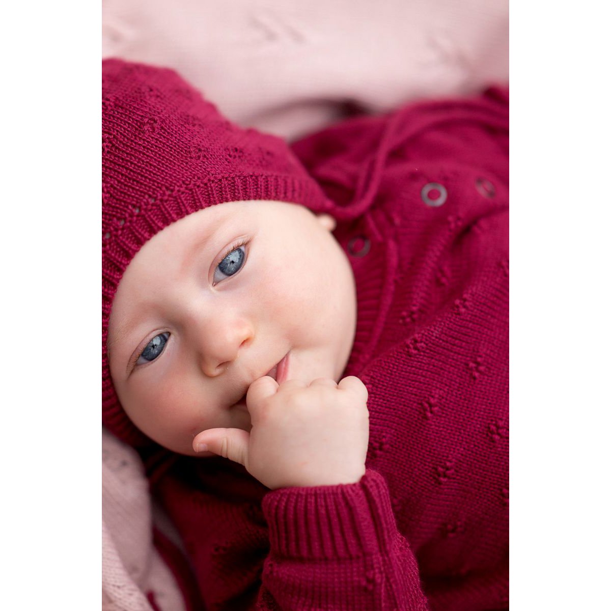 Maglia MADISON in cotone per bambini bordeaux