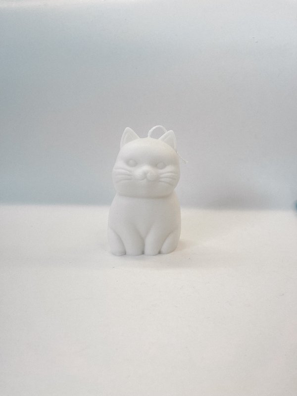 Cat candle - Cat candle