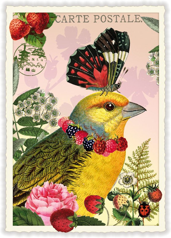NBPK913 - SWEET MEMORIES: BIRD