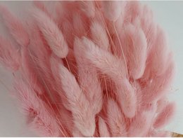 Lagurus Dalio soft pink 100 g