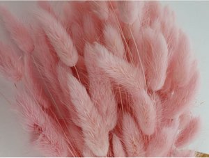 Lagurus Dalio soft pink 100 g