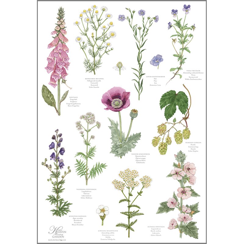 Organic tea towel - Monastery garden