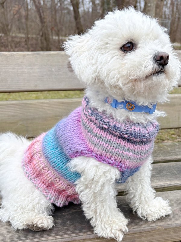 Breze Hundehalsband Anhänger