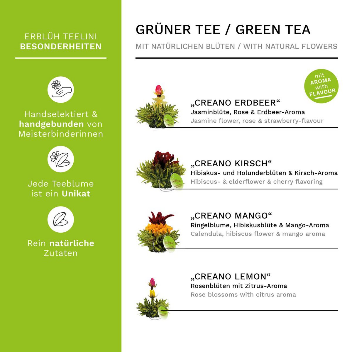 Creano 6 Teelini grüner Tee Magnetbox