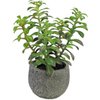 Kunst vetplant in sierpot 25 cm
