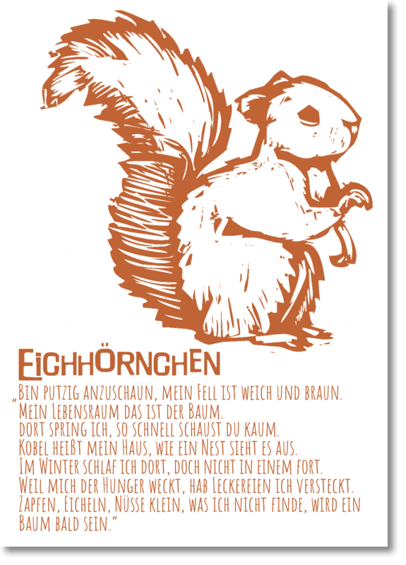 Postkarte „Eichhörnchen“ 