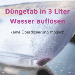 Rasenmax Orchideendünger Tabs - 20 Stück
