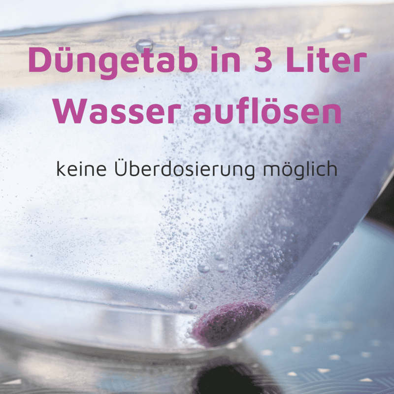 Rasenmax Orchideendünger Tabs - 20 Stück