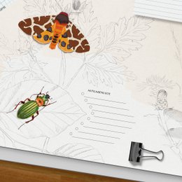 Schreibtischunterlage Insekten – Nachtfalter, Käfer & Libelle