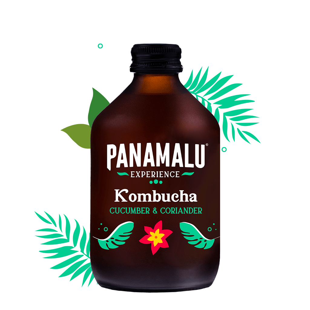 KOMKOMMER-KORIANDER KOMBUCHA (DOOS DA 8 BOTTIGLIE 315ml)