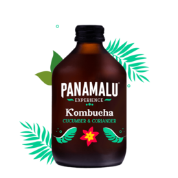 KOMBUCHA OGÓRKOWO-KOLENDROWA (PUDEŁKO DA 8 BOTTIGLIE 315ml)