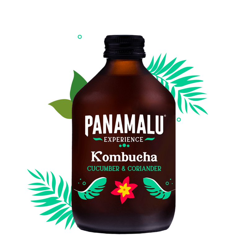 KOMBUCHA CETRIOLO-CORIANDOLO (SCATOLA DA 8 BOTTIGLIE 315ml)