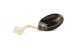 Black horn rice spoon with mother of pearl handle