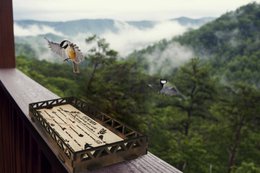 Am Geländer montiertes Vogelhäuschen aus Holz, Zedernholz-Plattform, Vogelhäuschen, Geländer im Freien, Terrasse, Gartendekoration für den Hof
