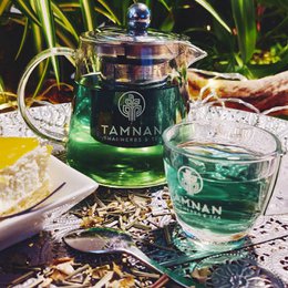 Calm Green