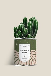 FAMILIETID - Stor model