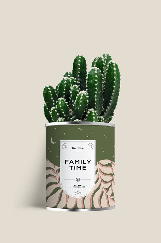 FAMILIETID - Stor model