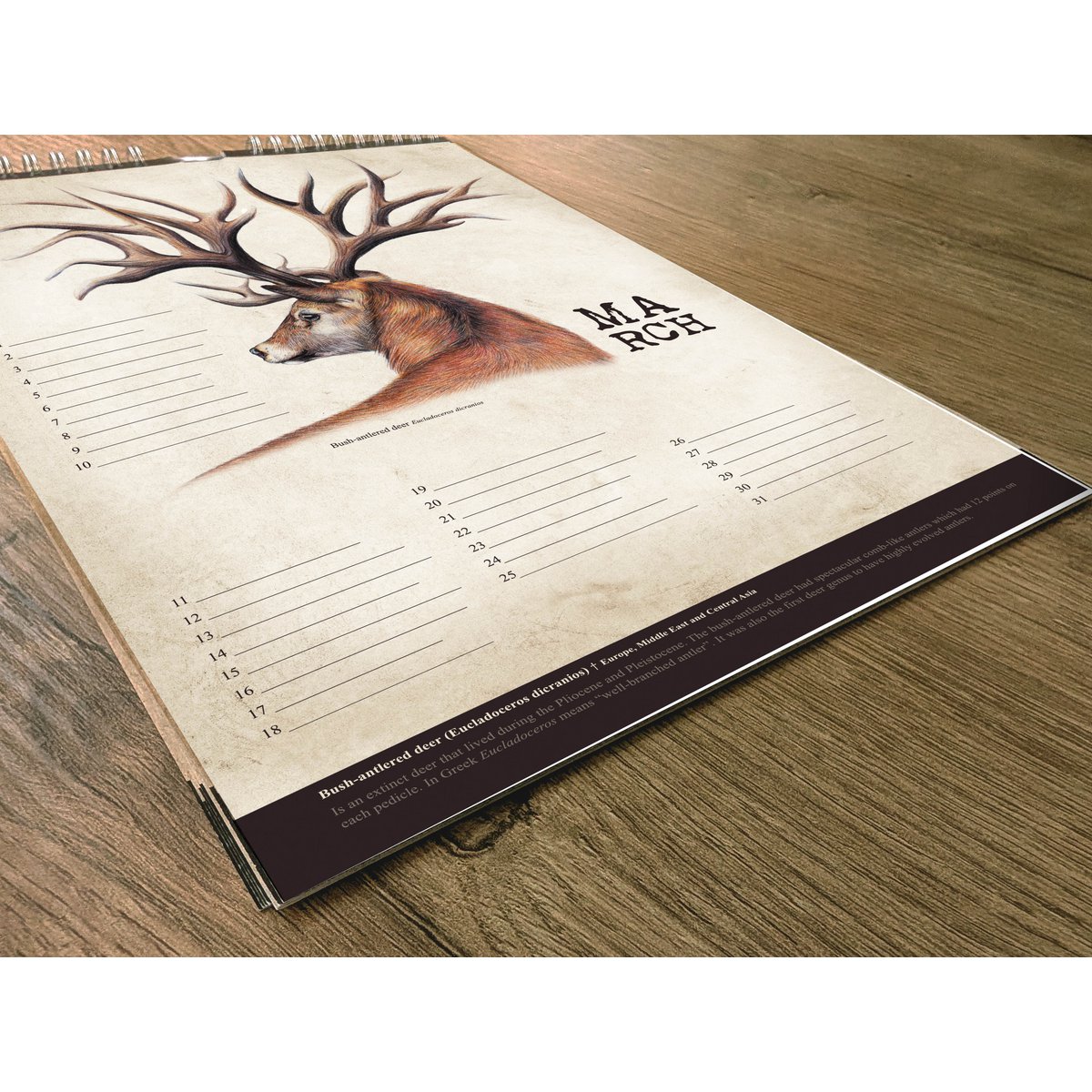 Hirsch-Geburtstagskalender, ewiger Kalender, umweltfreundlich