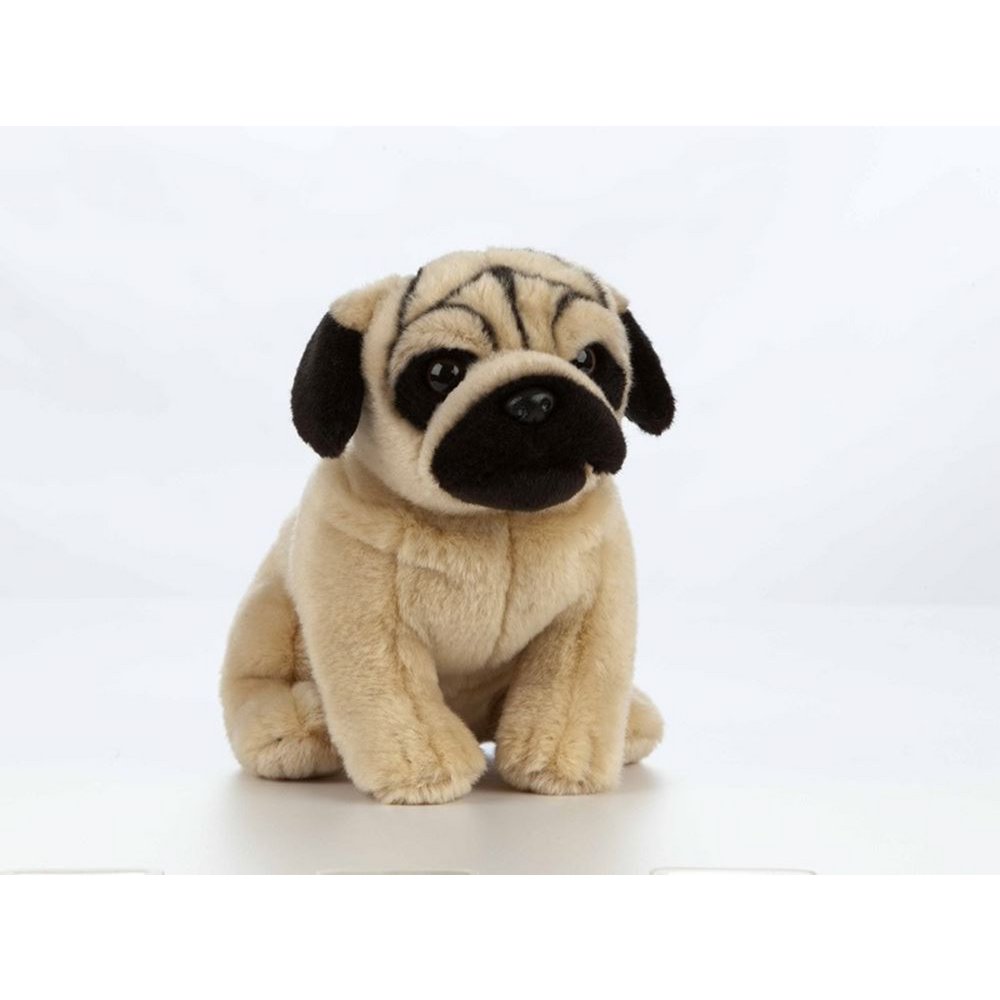 Living Nature peluche Carlin peluche chien 20cm jouet