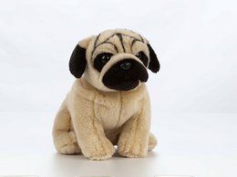 Living Nature peluche Carlin peluche chien 20cm jouet