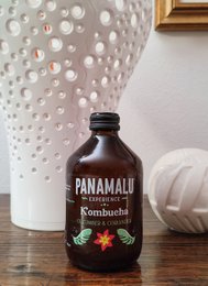 KOMBUCHA CETRIOLO-CORIANDOLO (SCATOLA DA 8 BOTTIGLIE 315ml)