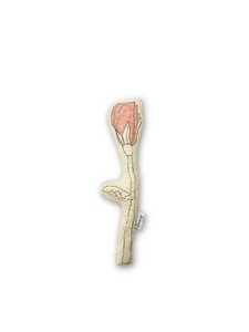 Textiel bloem - Tulp - Size S
