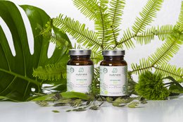 Spiruline BIO