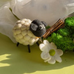 Hurtownia małych filcowych owiec