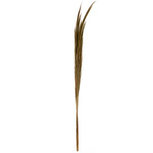J12 Kleines Heubündel Natur (25er-Set)
