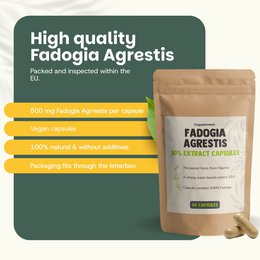 Fadogia Agrestis Kapsułki 500 mg - 60 Kapsułek