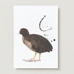 A brown and black bird, likely a coot, depicted in a minimalist, artistic style on a greeting card.